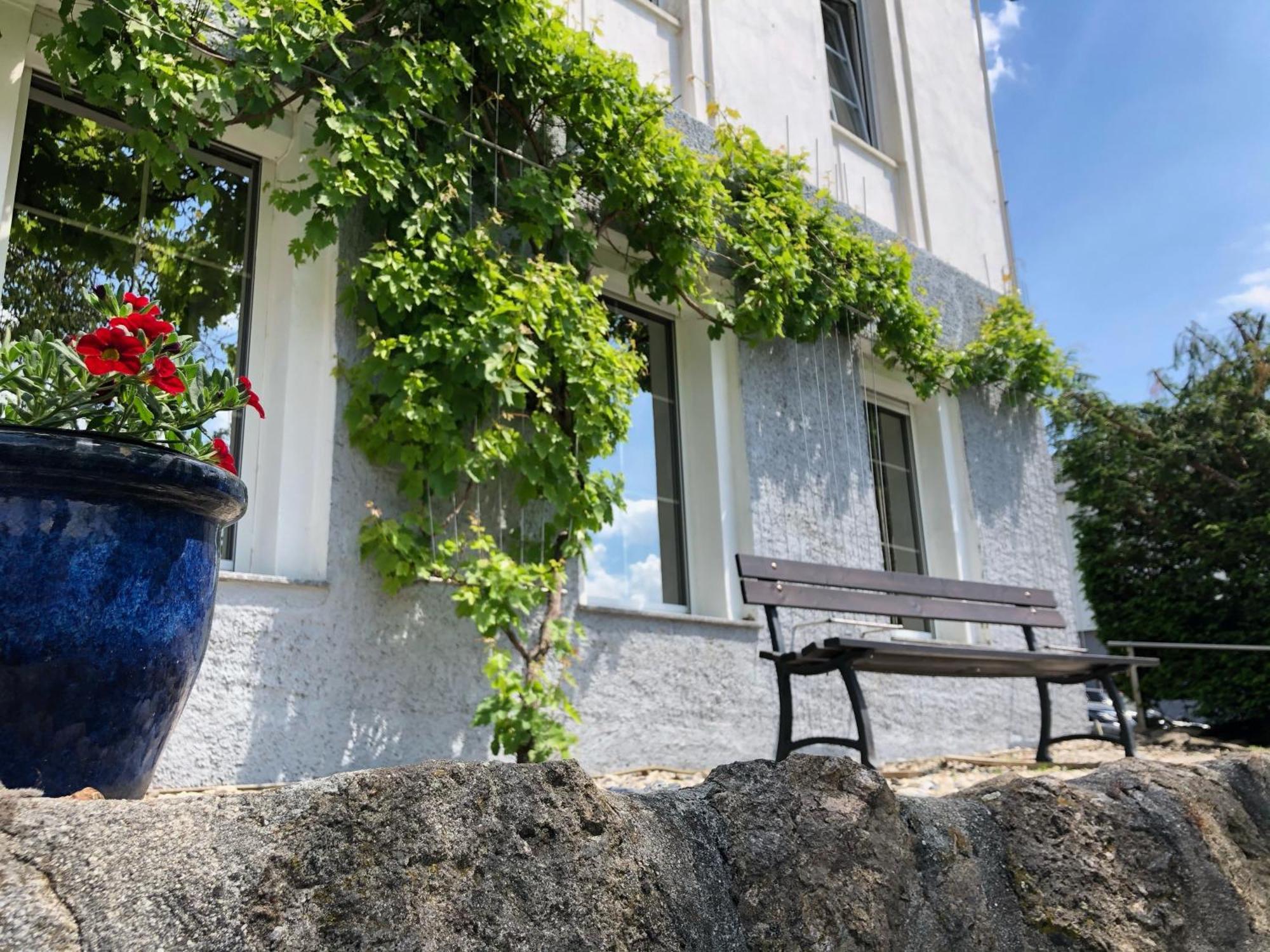 Ferienwohung In Dresden Am Elbhang Εξωτερικό φωτογραφία